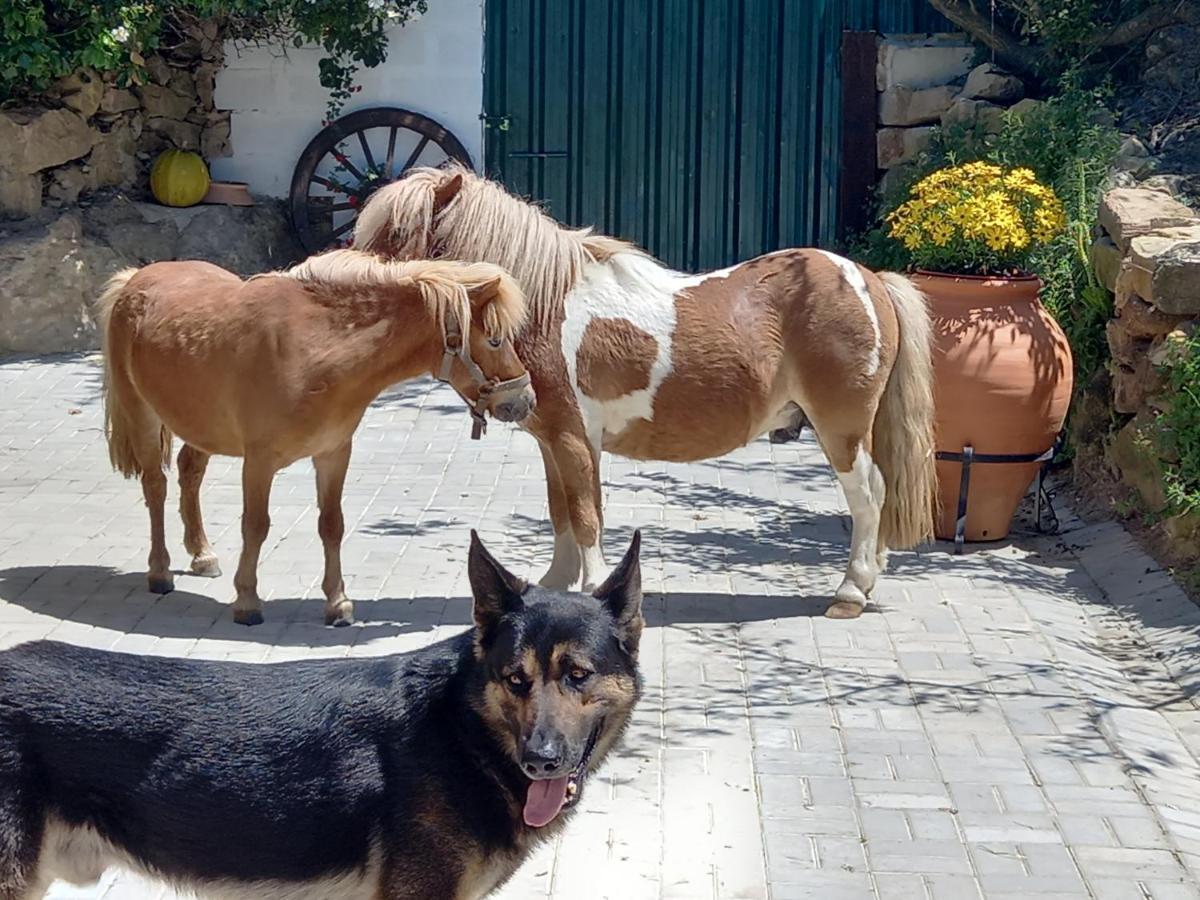 Casinha da Lareira - Quintinha dos Cavalos- Arruda dos Vinhos Exterior foto